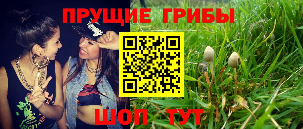 Урай  Псилоцибиновые грибы ЛСД  Вход с VPN 