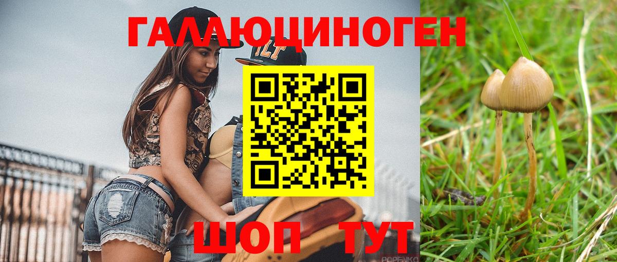 Галлюциногенные грибы GOLDEN TEACHER Урай